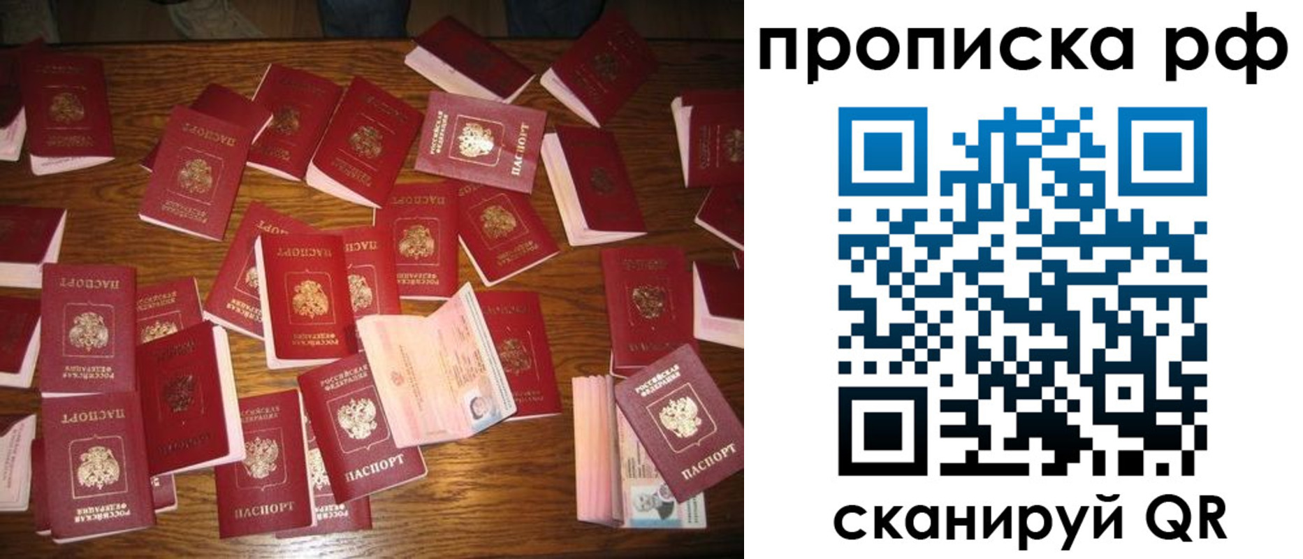 прописка в квартире в Белгороде