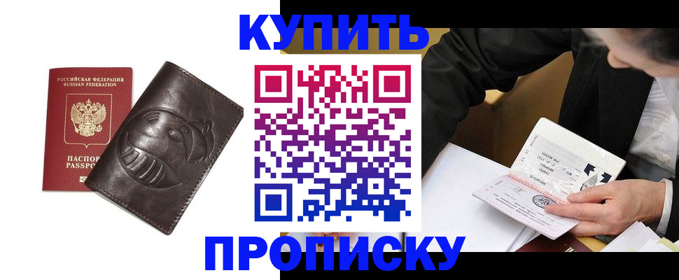 прописка 2025 в Белгороде